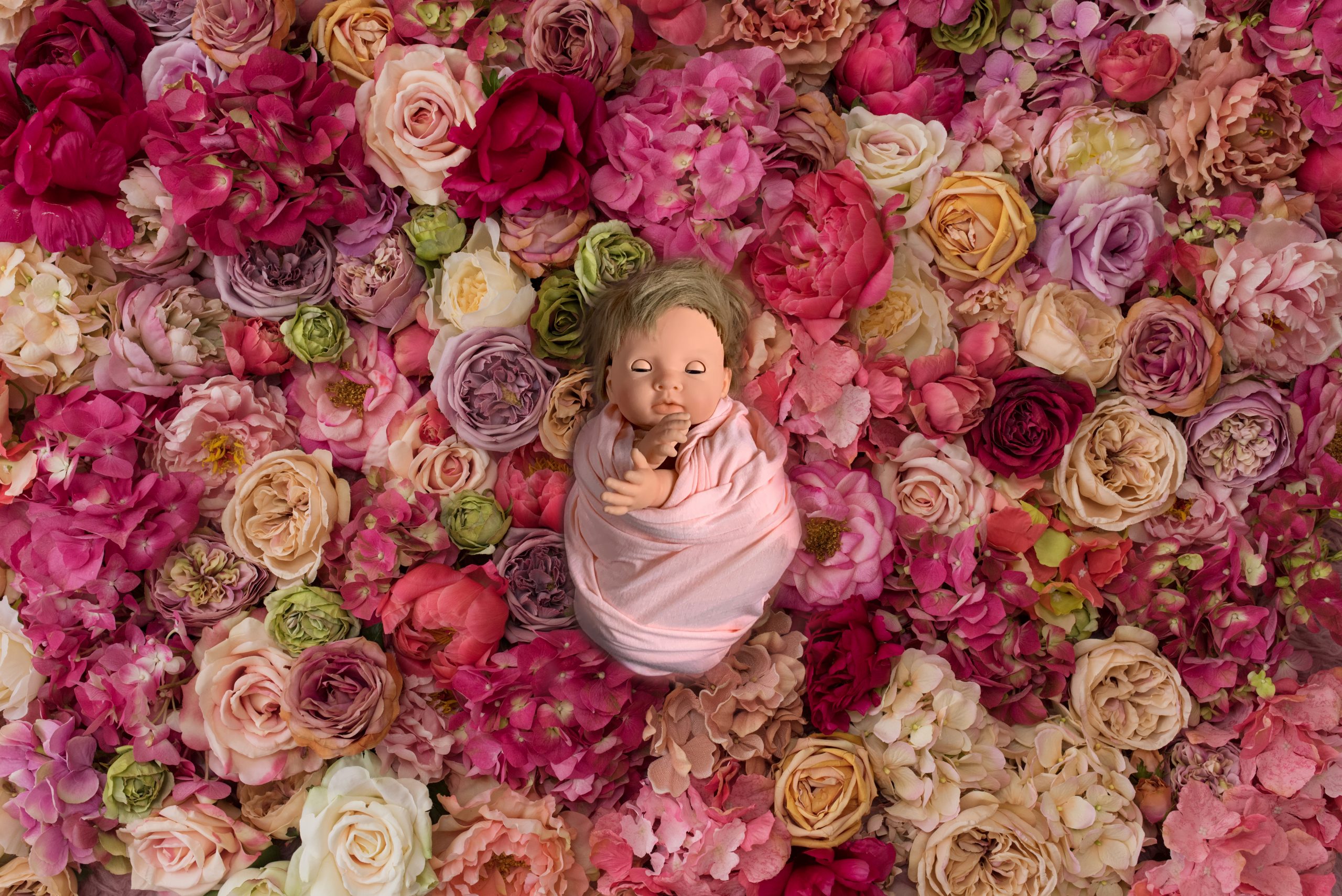 DIY Newborn Photo Shoot Ipswich